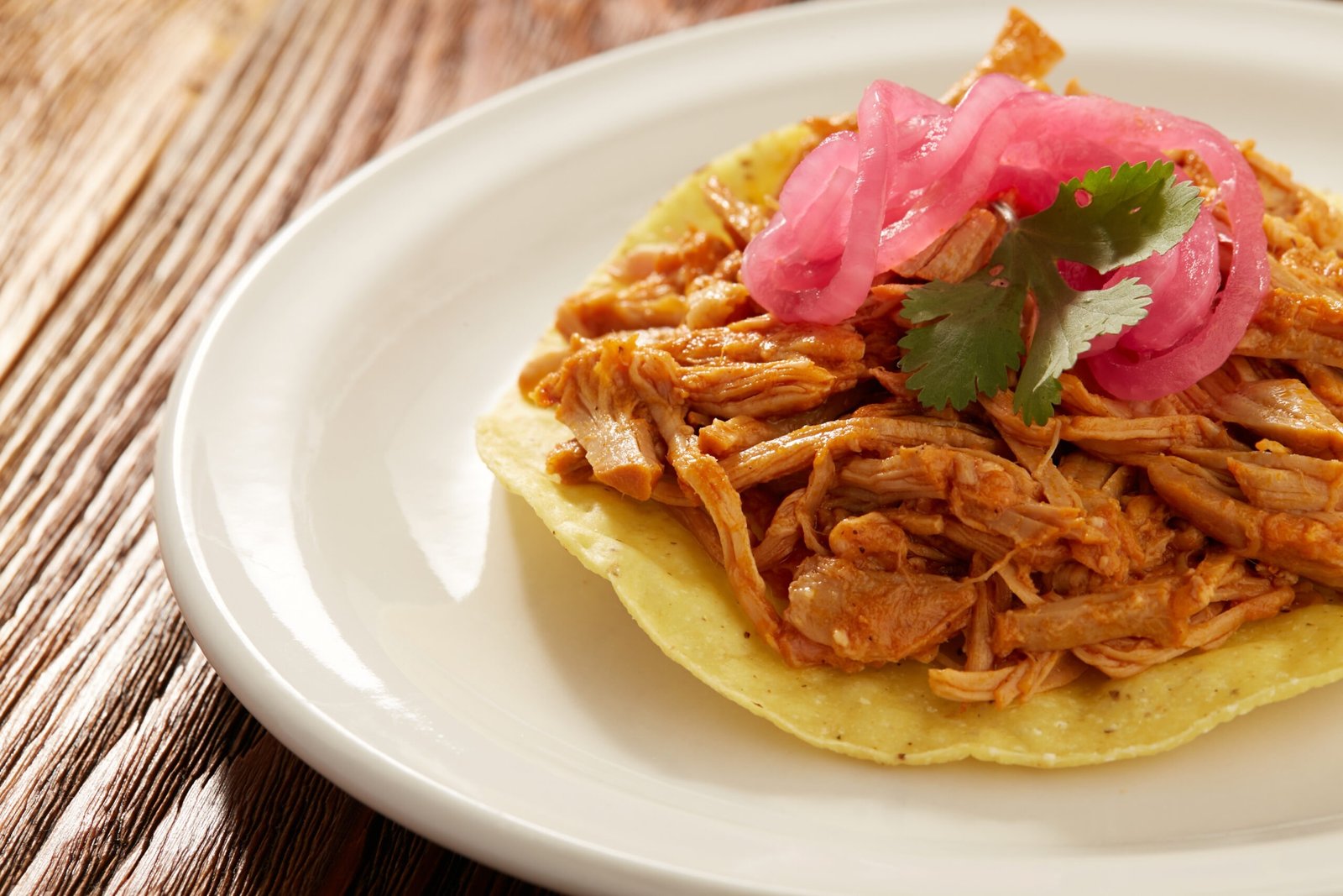 FAVOURITE FOODS IMG 34 INDIAN FRIED BREADtostadas-de-cochinita-pibil-comida-tipica-mexicana